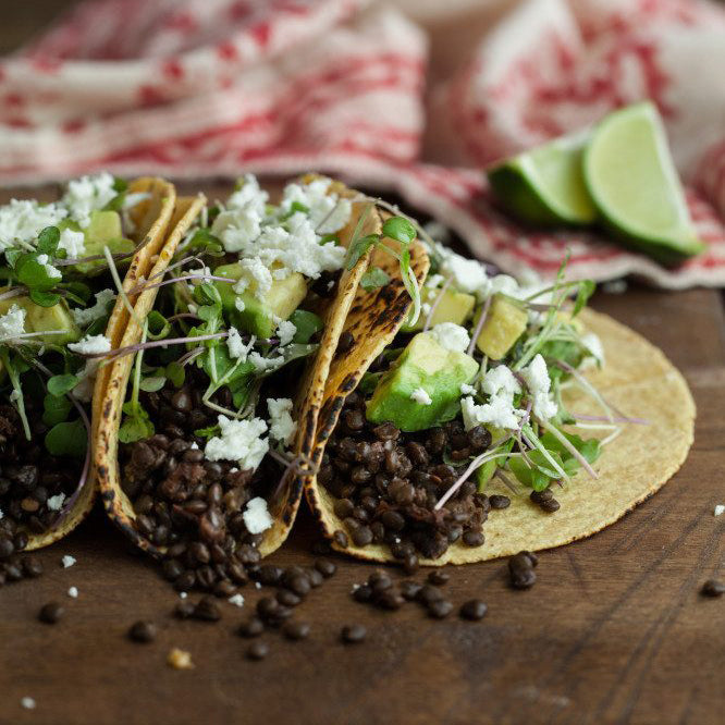 Chipotle Lentil Tacos with Avocado and Mixed Microgreens