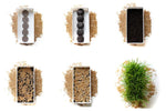 Microgreens Starter Kit 3-Pack - Broccoli Brassica, Red Cabbage & Wheatgrass - Urban Minimalist